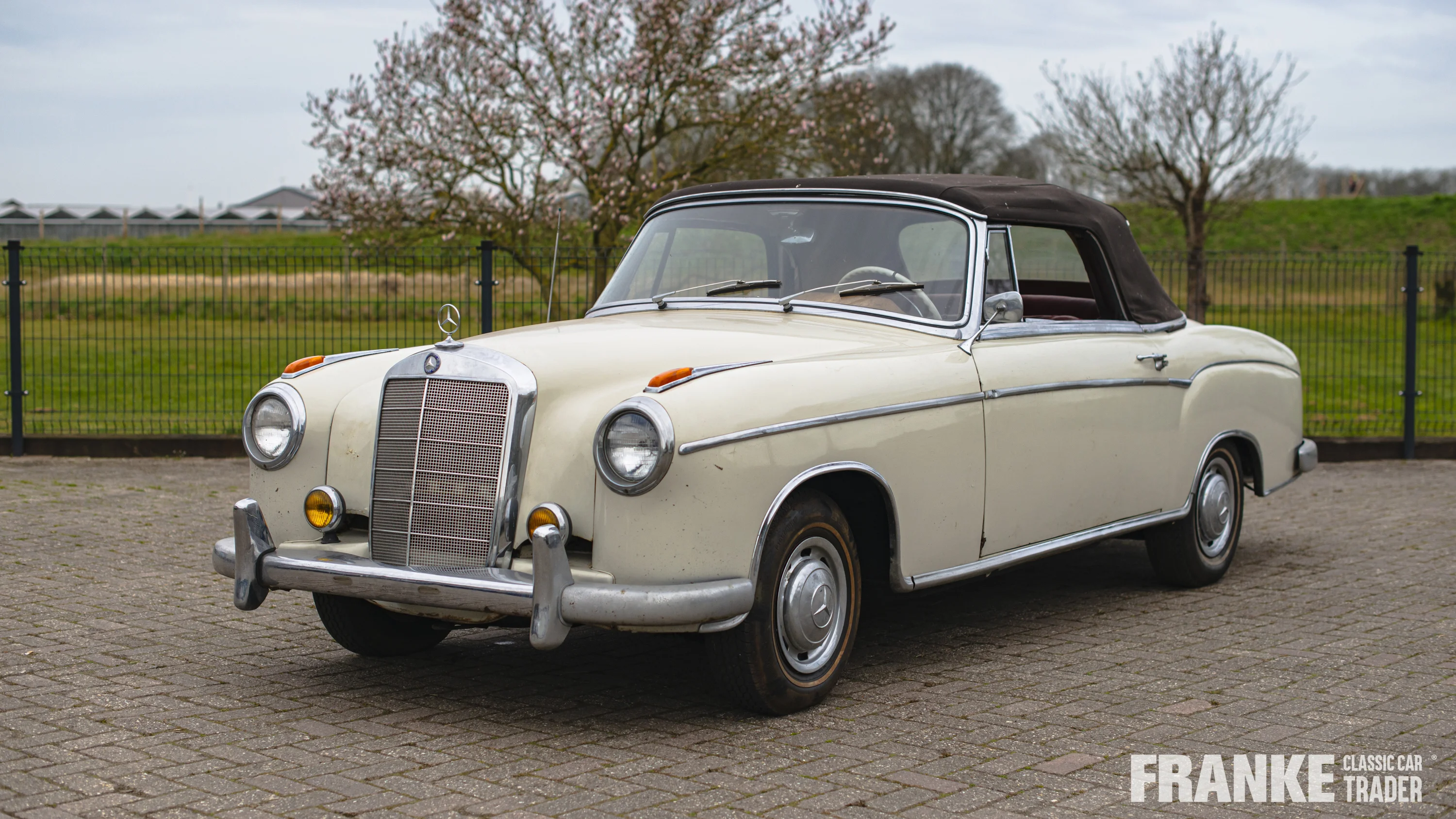 Mercedes-Benz 220 S Cabriolet - 1 mercedes 220 s cabrio beige3928 profielfoto - 1-2024