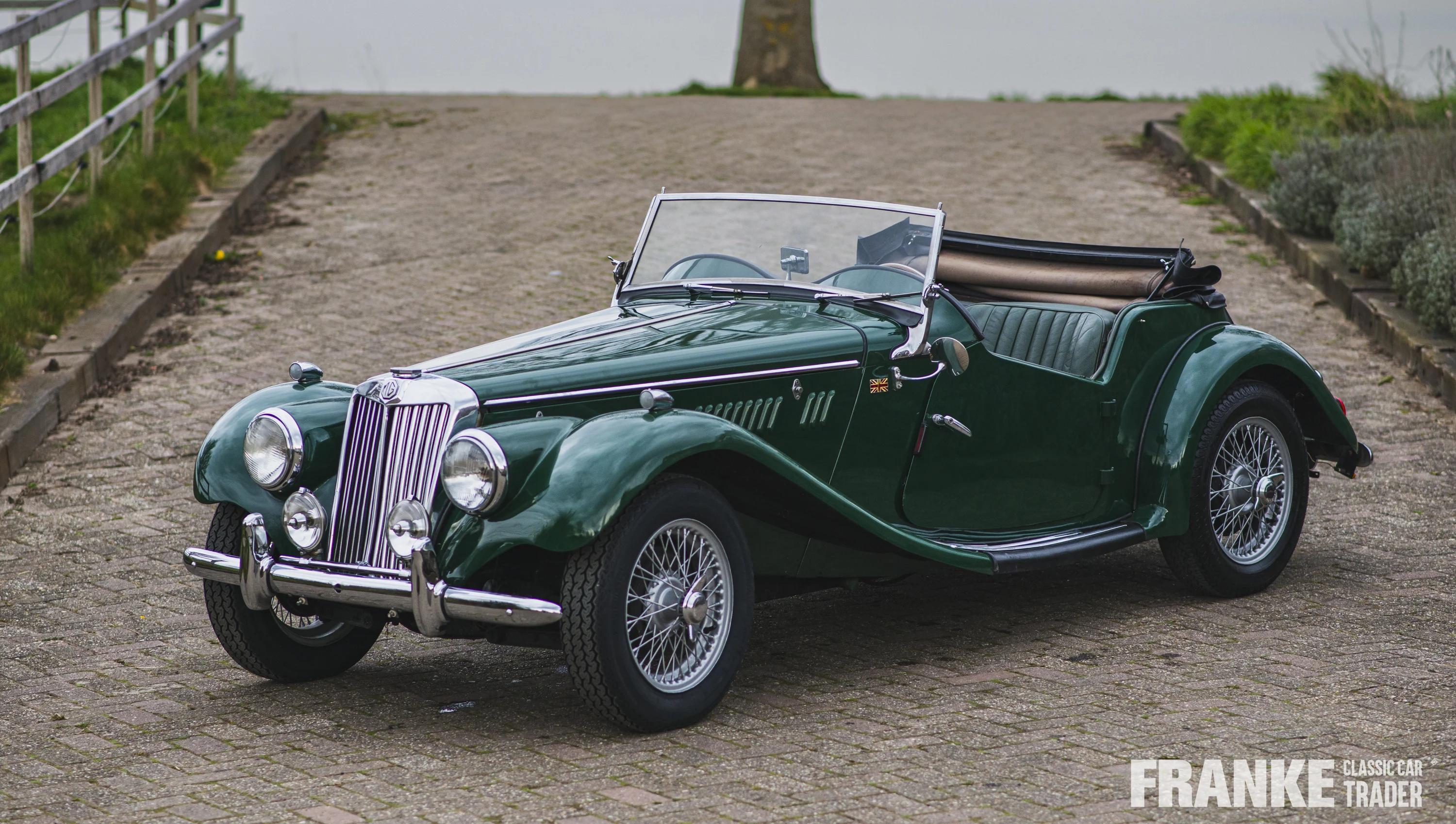 MG-TF - 1 mg td groen4608 profielfoto - 01-04-2025