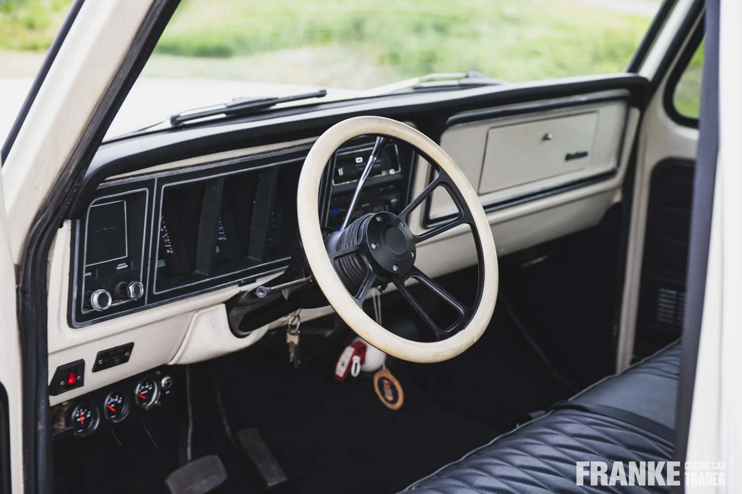 Ford F100 - 23 ford f100 wit 1166 - F100-3-26