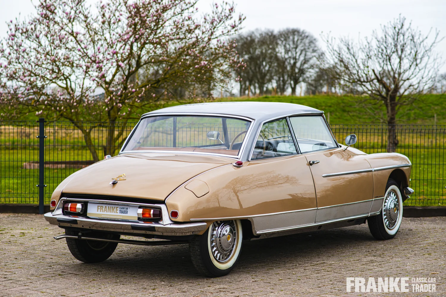 Citroen DS 19 Chapron Concorde - 30 ds chapron 4281 - 6-2024