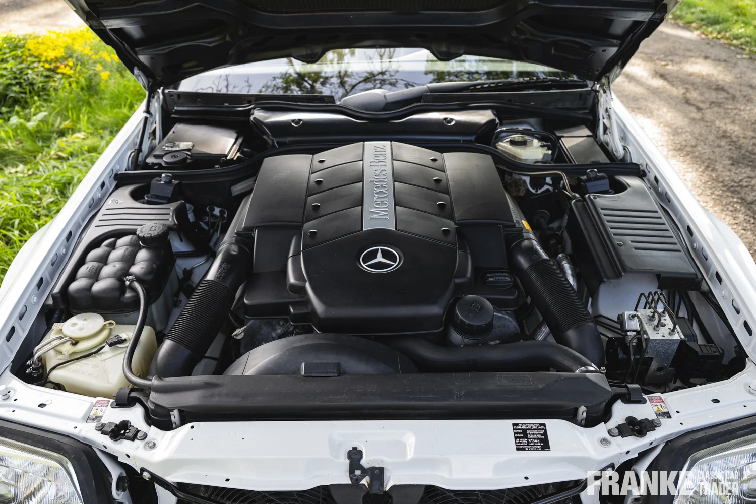 Mercedes-Benz 500 SL (R129) - 30 fcct 0984 - wdbfa68f0yf189243