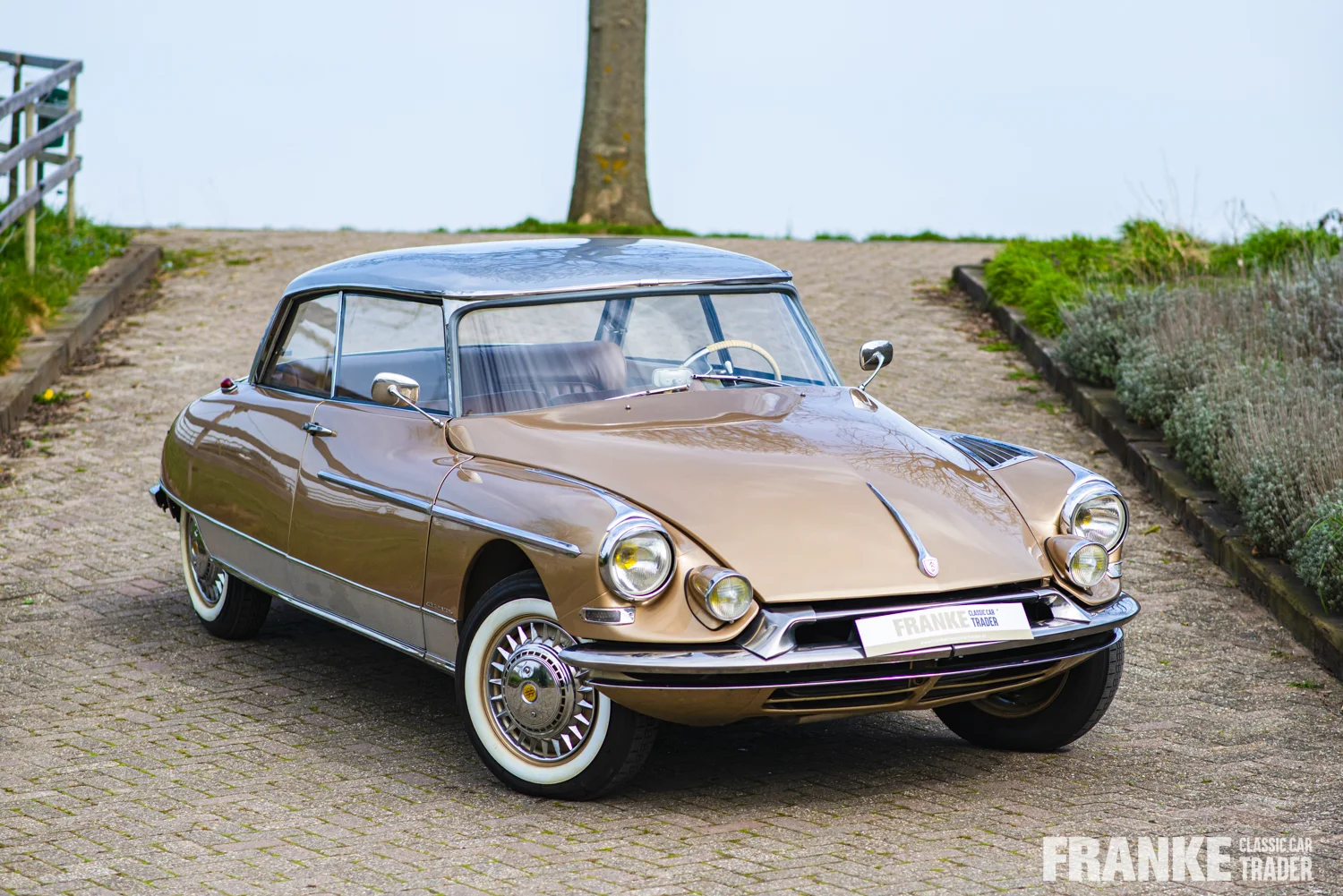 Citroen DS 19 Chapron Concorde - 36 ds chapron 4196 - 6-2024
