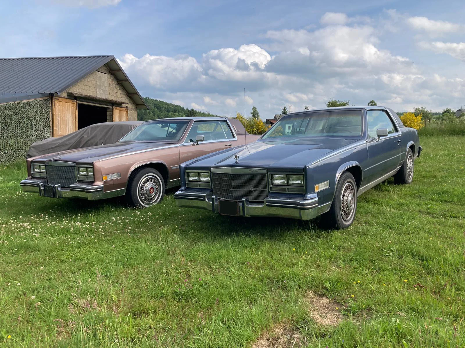 Cadillac Eldorado - Cadillac eldorado blauw 1983 1 - 1983-092025