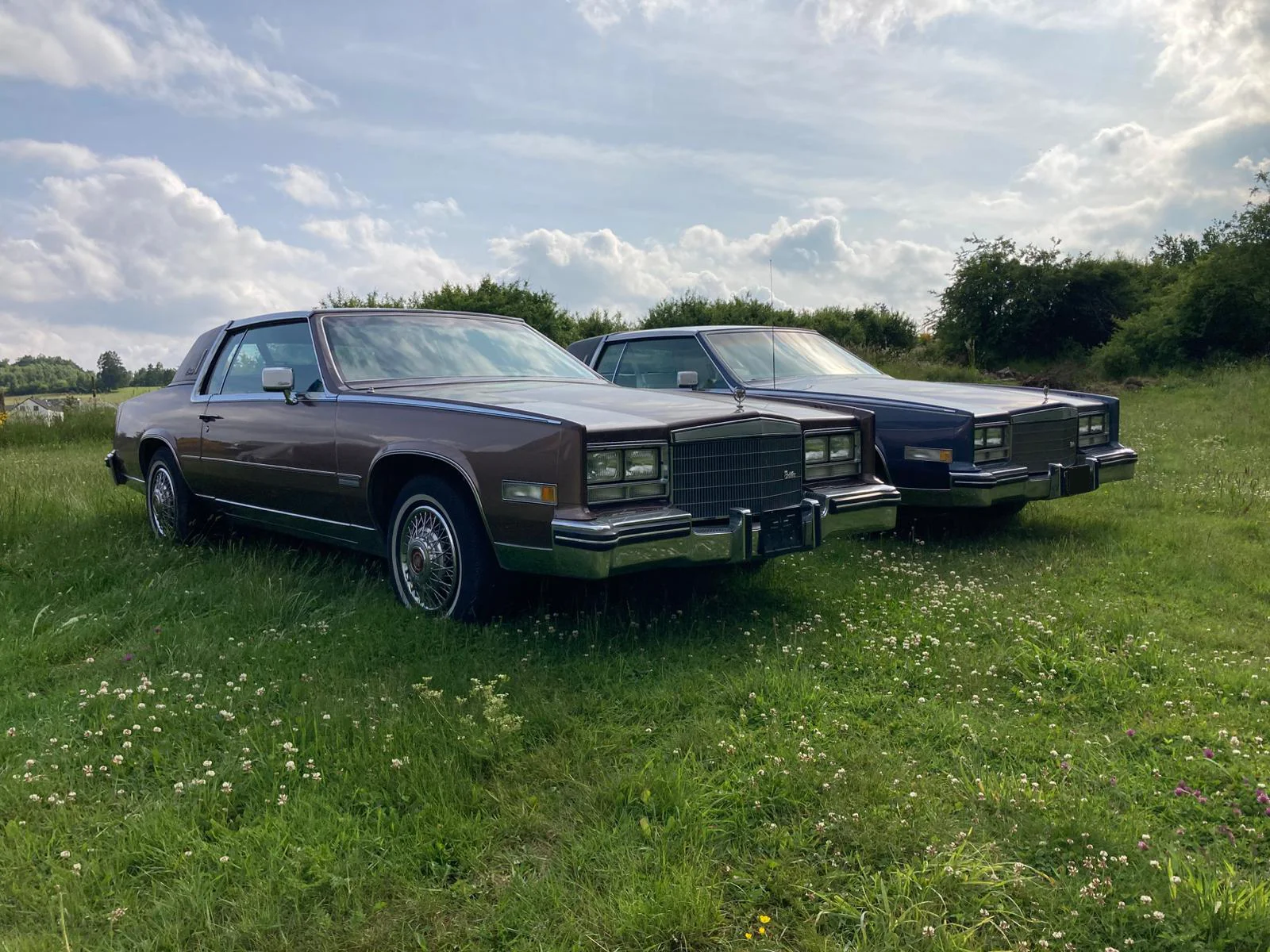 Cadillac Eldorado - Cadillac eldorado bruin 1985 1 - 1985092025