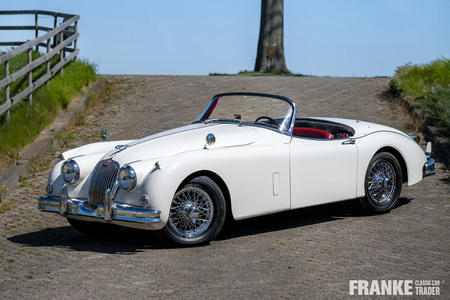 Jaguar XK150 - Jaguar xk150 7990 - xk150-4-26