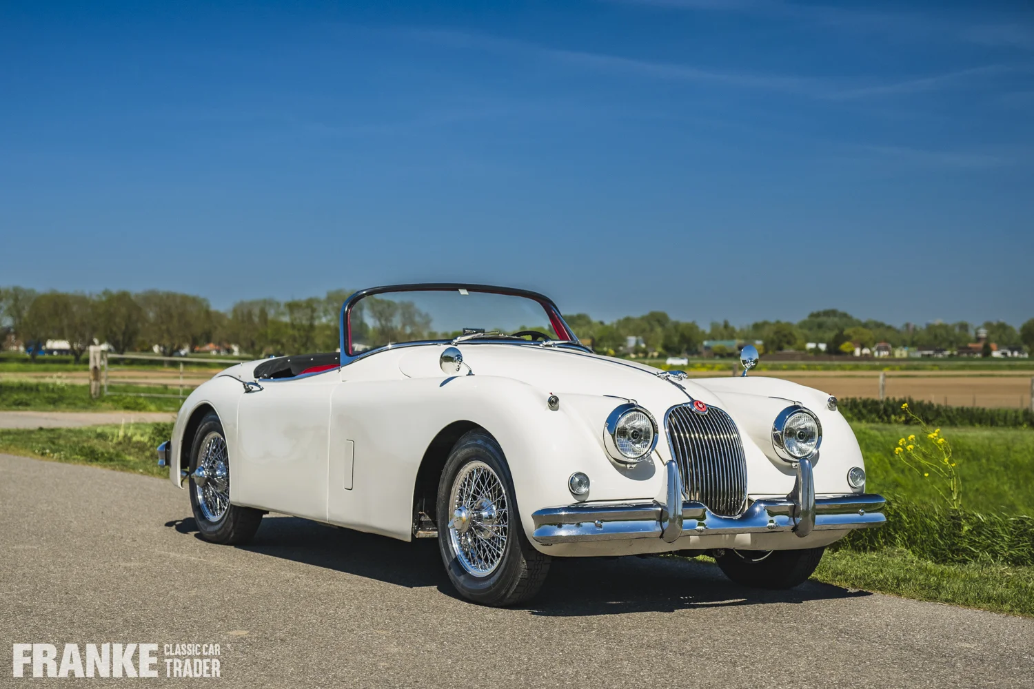 Jaguar XK150 - Jaguar xk150 cream fcct 8102 - xk150-4-26