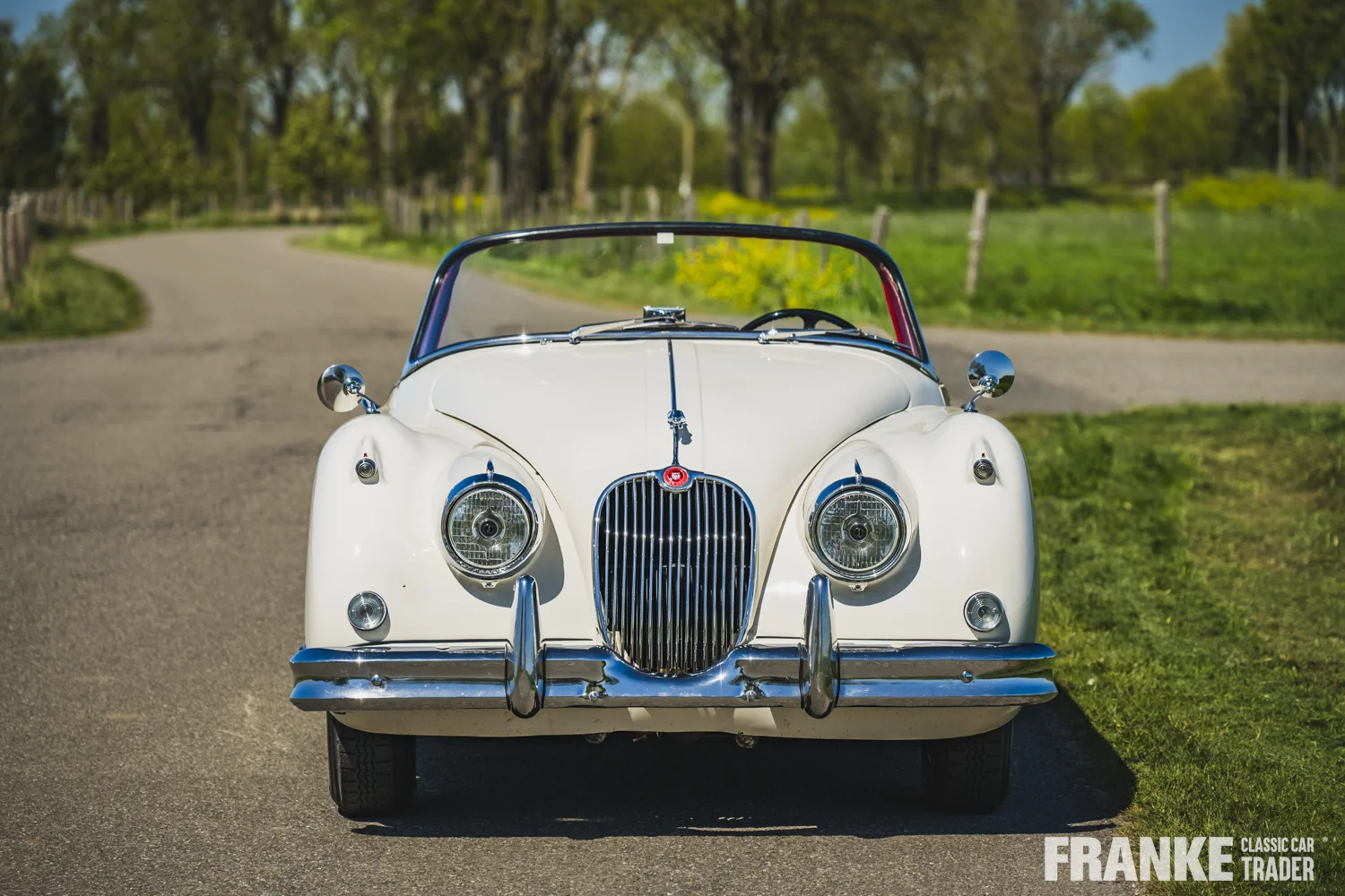 Jaguar XK150 - Jaguar xk150 cream fcct 8107 - xk150-4-26