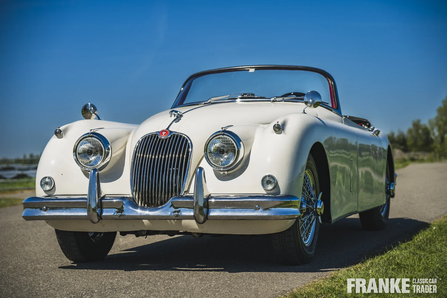 Jaguar XK150 - Jaguar xk150 cream fcct 8116 - xk150-4-26
