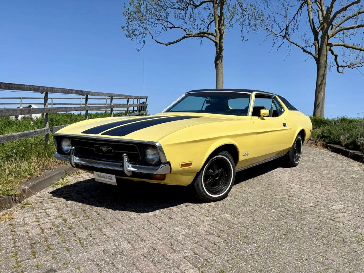 Ford Mustang Grande - Mustang grande geel 72 - grande72-1125