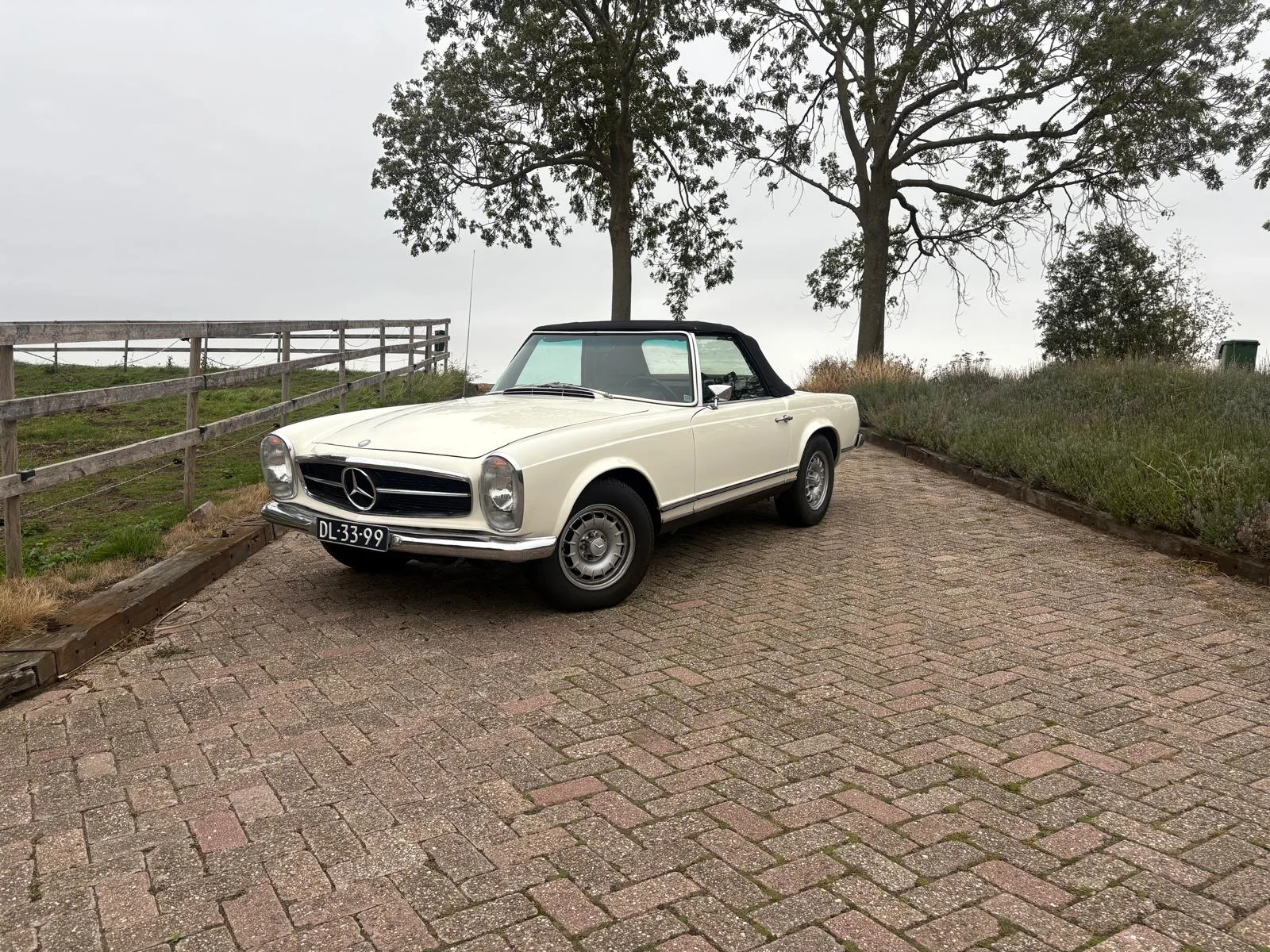 Mercedes Benz 280 SL Pagoda - Photo 2025 11 04 19 11 53 - 280SL-3-26